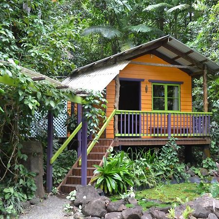 Rainforest Hideaway Кейп-Тріб'юлейшен Екстер'єр фото