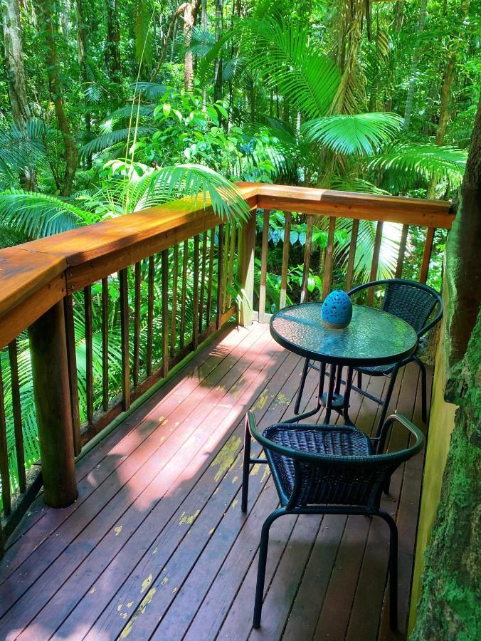 Rainforest Hideaway Кейп-Тріб'юлейшен Екстер'єр фото