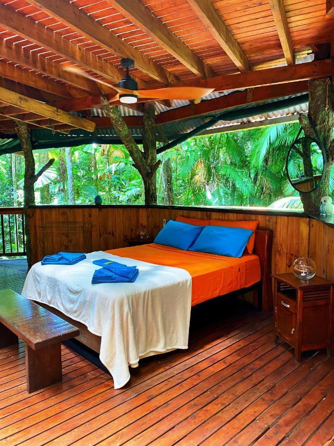 Rainforest Hideaway Кейп-Тріб'юлейшен Екстер'єр фото