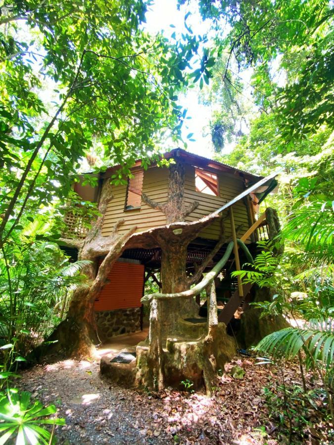 Rainforest Hideaway Кейп-Тріб'юлейшен Екстер'єр фото